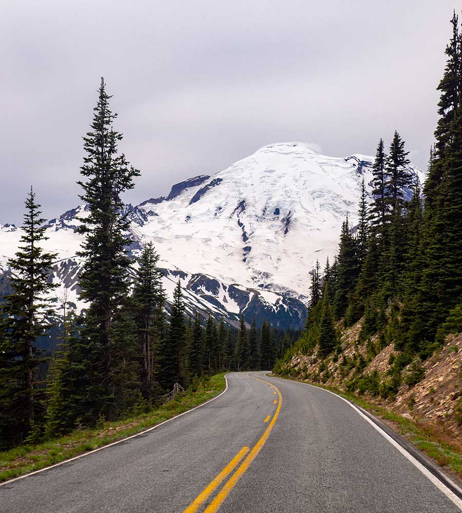 winding asphalt road surrounded by trees with snowy mountains in the distance.