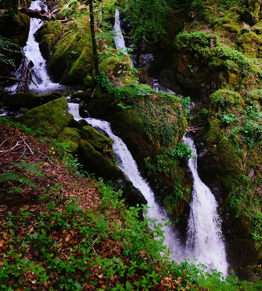 moss covered rocks with streaming water.